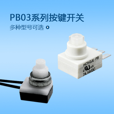 按鍵開關(guān)PB03系列