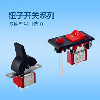 鈕子開關(guān)系列