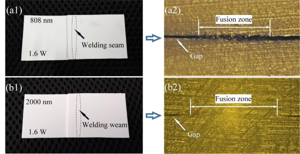 圖片：0.808μm和2μm激光焊接白色PP結(jié)果：(a1,b1)實(shí)物圖;(a2,b2)截面切片顯微圖